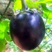 Stripes Brinjal - Image 2